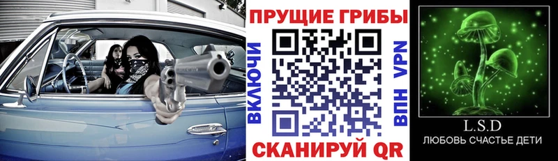 Галлюциногенные грибы прущие грибы как найти Мариинск